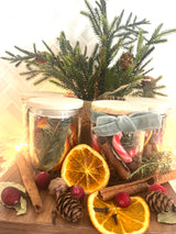 Home for the Holidays - Simmer Pot Kit